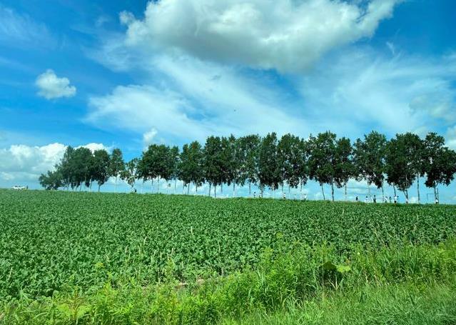 2024�ձ��������h�������а���t���������B�m16���һ